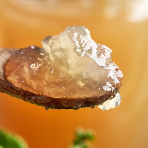 gelatin from deer stock, venison bone broth