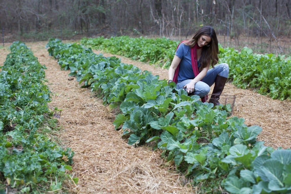 Stacy Lyn Harris harvesting garden greens