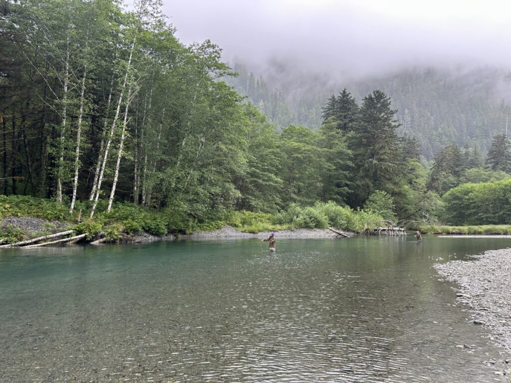 wilderness scenery on river in Alaska, deep green trees in background with mist