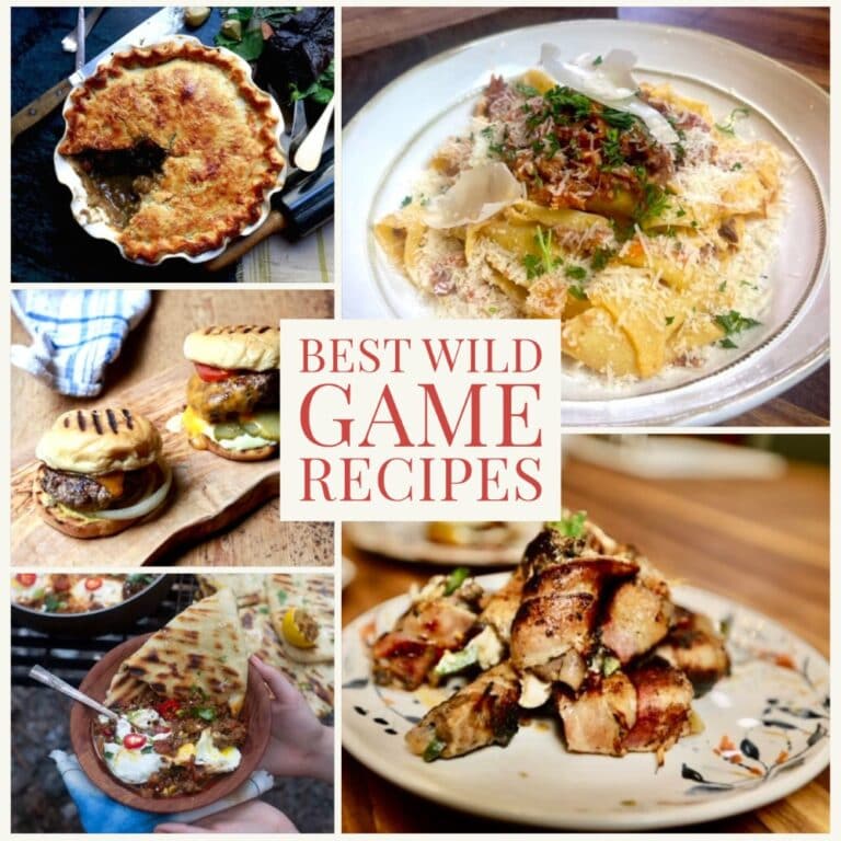 photo montage of Stacy Lyn Harris's wild game recipes, featuring venison, dove, squirrel, and wild boar dishes