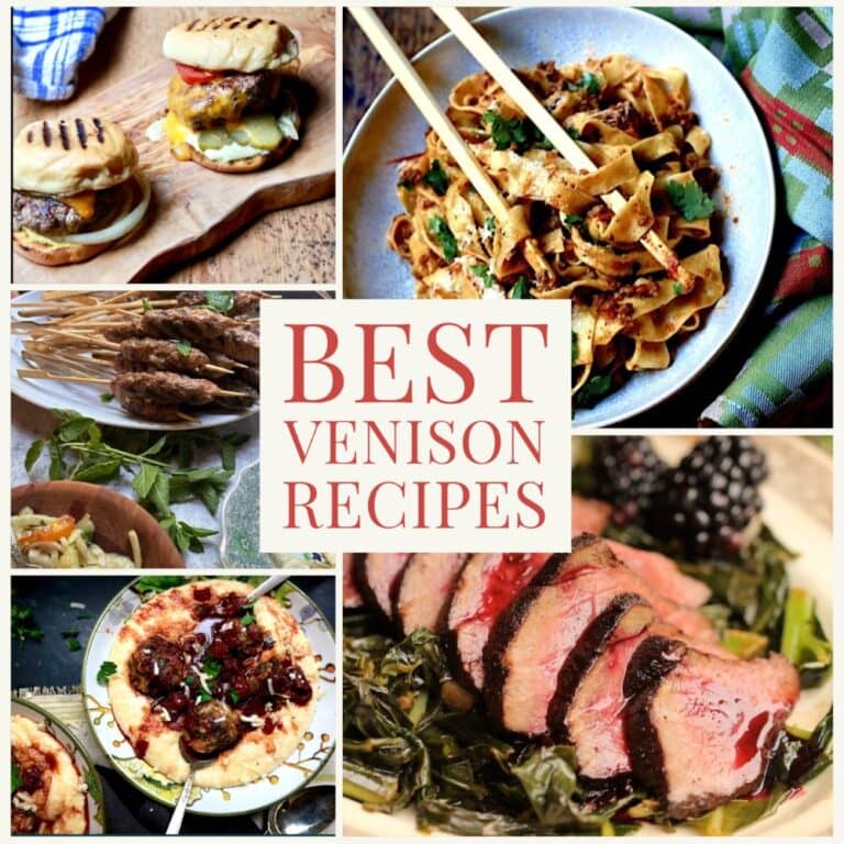 Best Venison Recipes - montage of 5 delicious venison recipes
