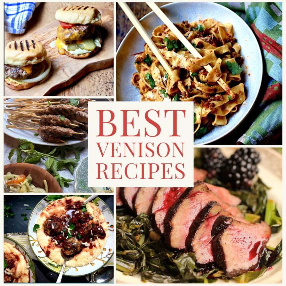 Best Venison Recipes - montage of 5 delicious venison recipes
