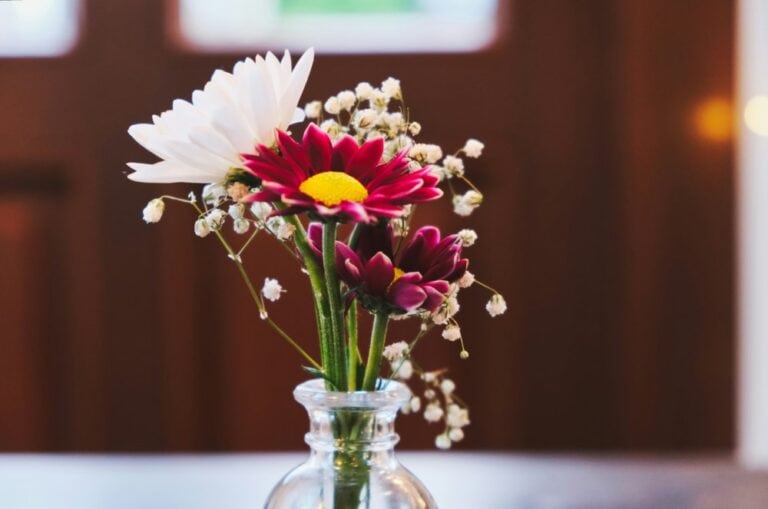 small arrangement of red and white flowers in glass vase