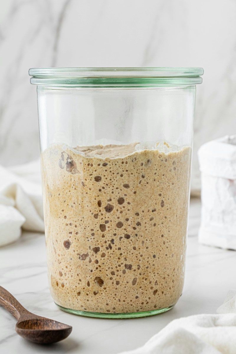 sourdough bread starter in jar