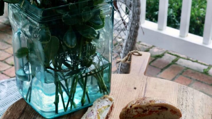 Image for Best Picnic Sandwich - Calzone / Stromboli 